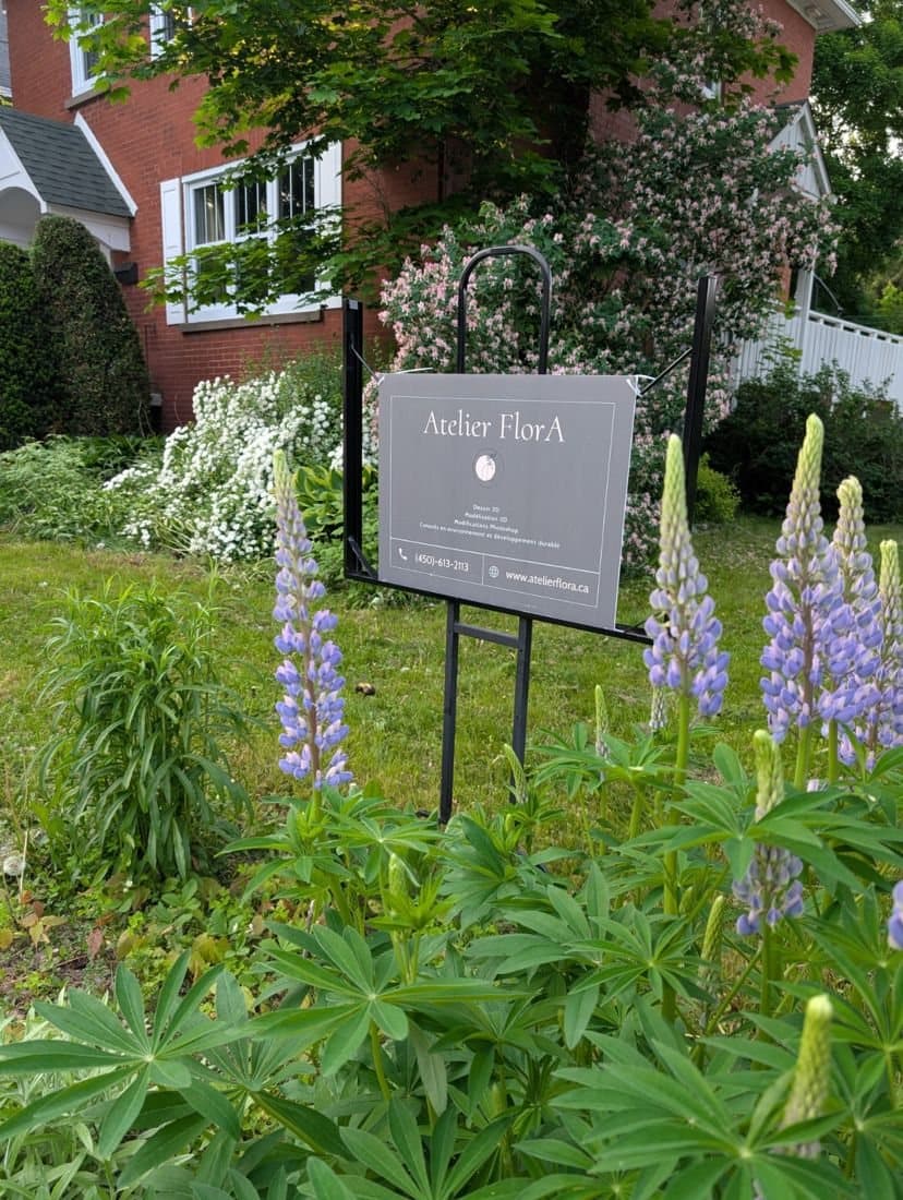 Plates-bandes aménagées pour les pollinisateurs à Lachute