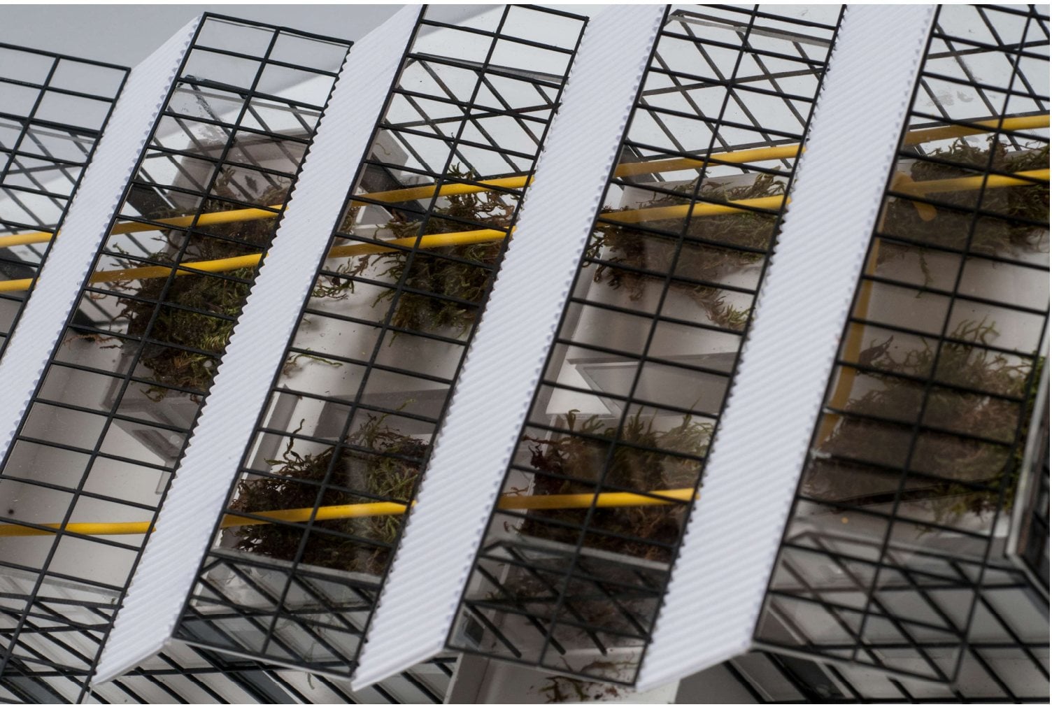 Maquette vue de dessus : toits ondulés blancs sur une structure vitrée noire, avec une tuyauterie jaune